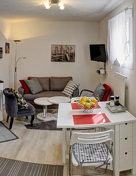 1BR Furnished Flat in Commugny