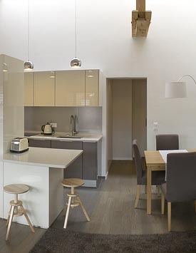 Furnished 1 BR Loft in Geneva