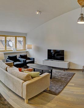 Furnished 3BR Flat in Geneva