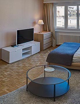 Furnished Studio in Geneva