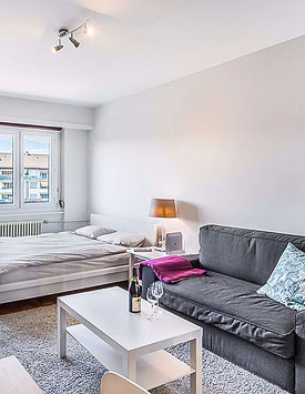 Furnished Studio in Geneva
