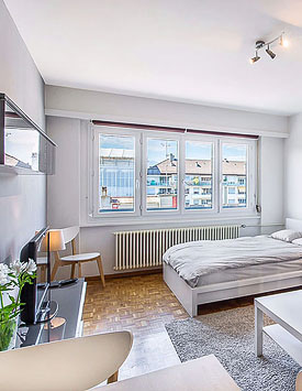 Furnished Studio in Geneva