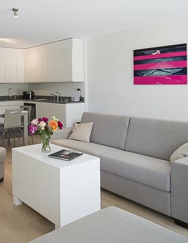 Furnished 2 BR Flat in Founex