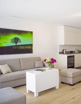 Furnished 2 BR Flat in Founex