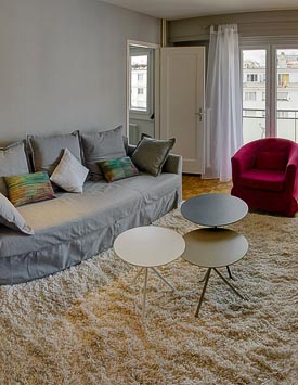 Furnished 1 BR Flat in Geneva