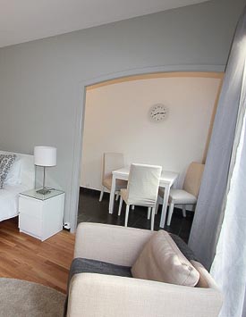Furnished 1 BR Falt in Geneva