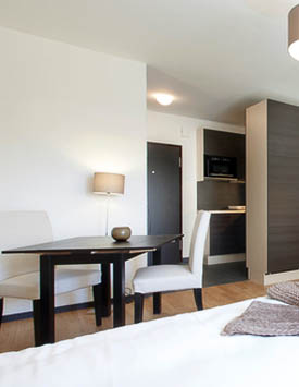 Furnished Studio in Geneva