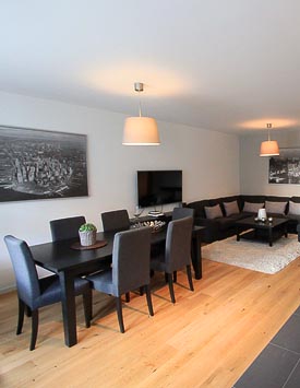 Furnished 2 BR Flat in Geneva