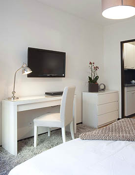 Furnished Studio Flat in Geneva