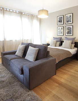 Furnished Studio in Plainpalais