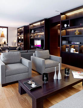 Furnished 3 BR Flat in Geneva