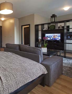 Furnished Studio in Geneva