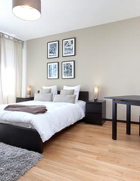 Furnished Studio Flat in Geneva