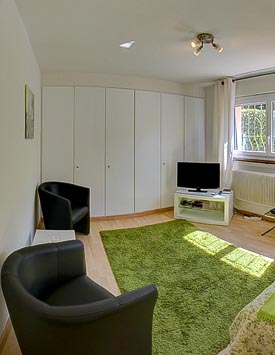 Furnished 1BR Flat in  Founex